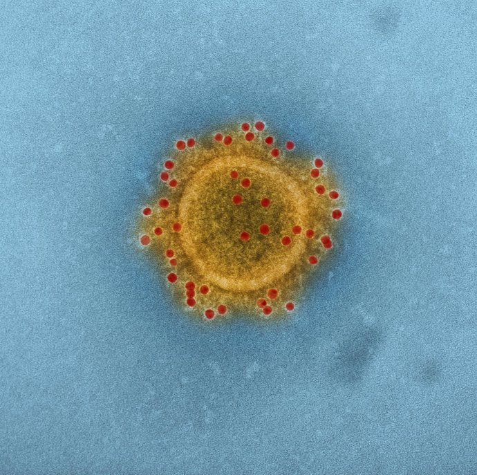 MERS, coronavirus