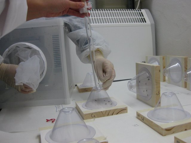 Estudios de la tecnología Inesfly en el laboratorio de Veterinaria de la UZ