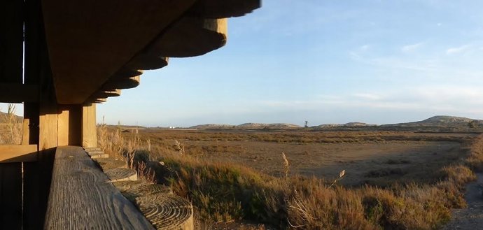 DENUNCIAN LA DESAPARICIÓN DEL FARTET EN CALBLANQUE