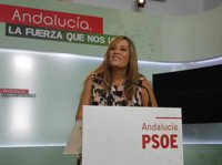 PSOE-A reclama al Gobierno que tenga "sensibilidad" y aumente la partida para luchar contra la violencia de género