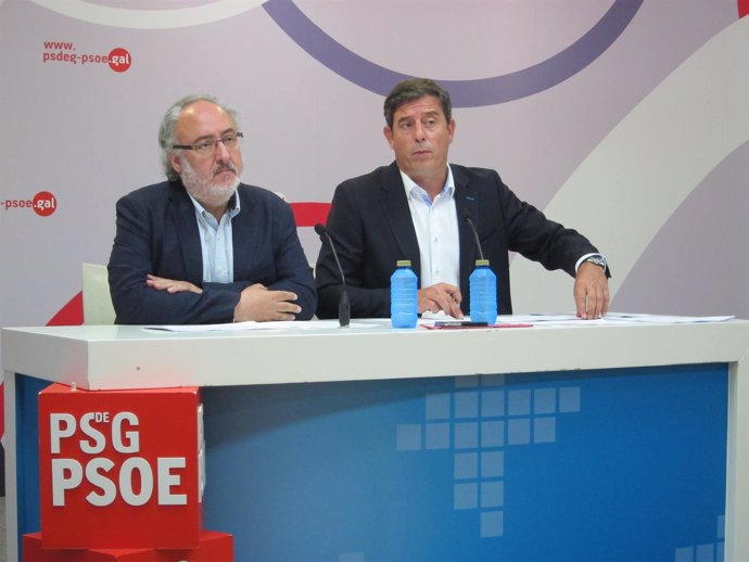 Secretario xeral del PSdeG y coordinador de los socialistas gallegos en Congreso