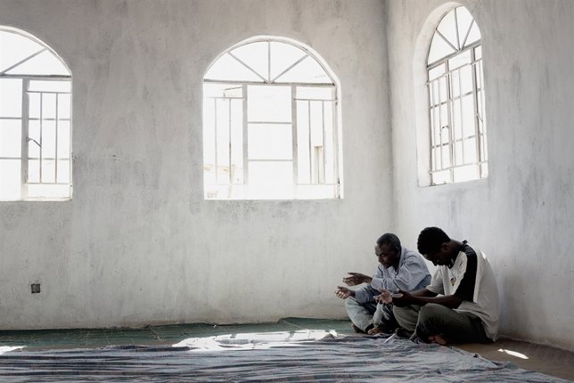 MSF149568 (High res)