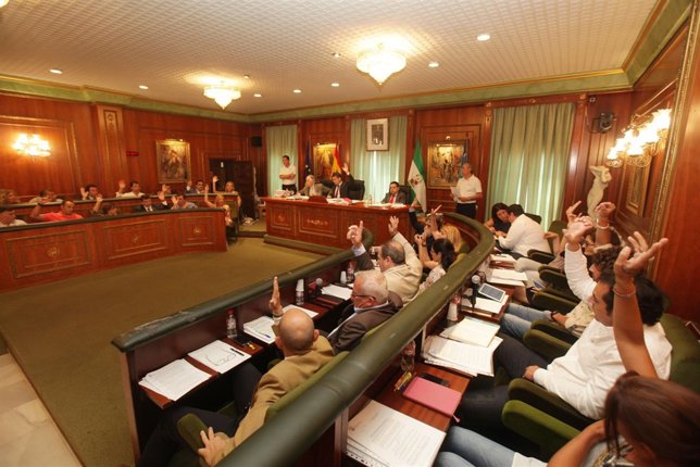 Pleno marbella dinero recuperar caso malaya