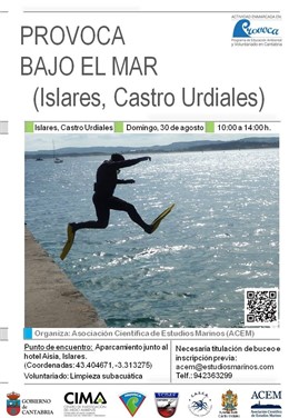 Cartel de la actividad