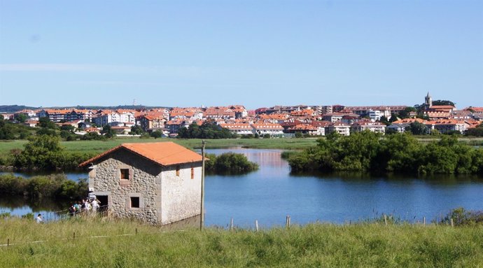 Molino de las aves      