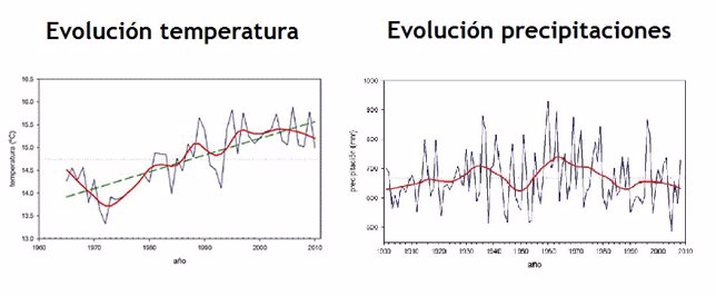 Evolución temperatura y lluvia