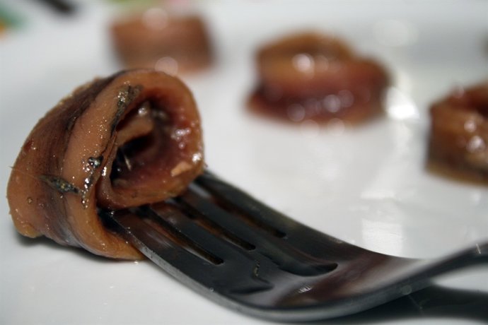 Anchoa del Cantábrico