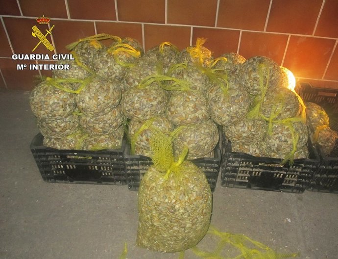 Las 81 mallas de coquinas incahutadas