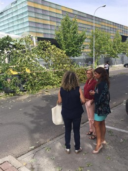 La delegada del Gobierno y la alcaldesa visitan daños de la tormenta en Aranjuez