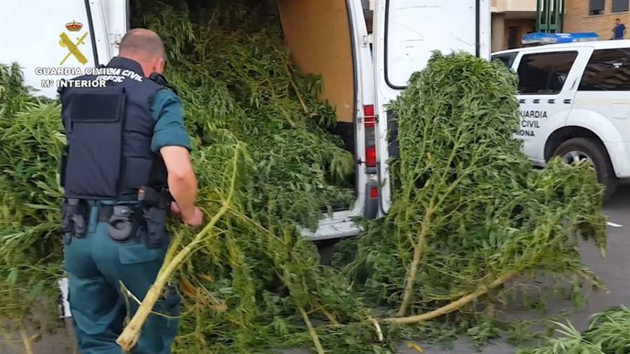 Marihuana incautada en la Litera y Somontano