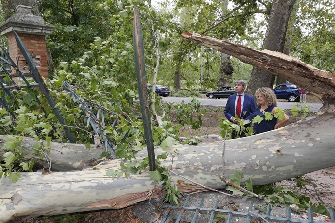 Garrido evalúa los daños producidos por la tormenta en Aranjuez