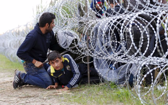 Refugiados sirios entrando en Hungría a través de la frontera con Serbia
