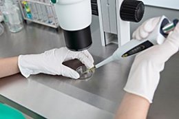 Aumenta en Navarra el número de infecciones por VIH.