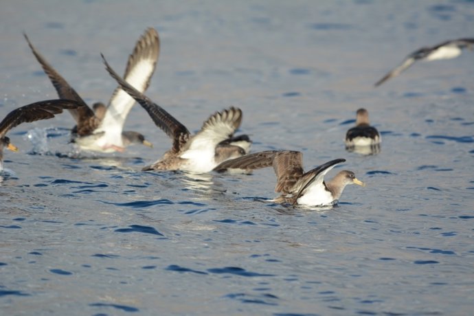 Fotograma del documental