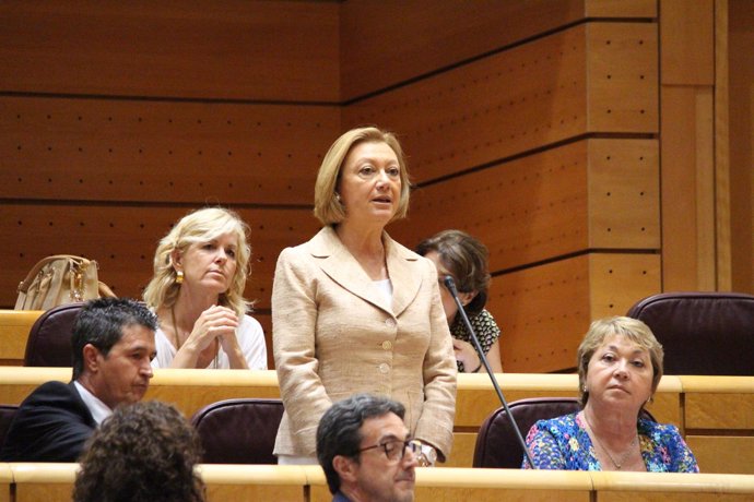 Luisa Fernanda Rudi es senadora por la Comunidad Autónoma.