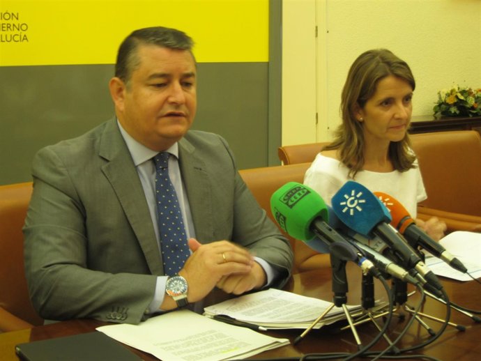 El delegado del Gobierno en Andalucía, Antonio Sanz