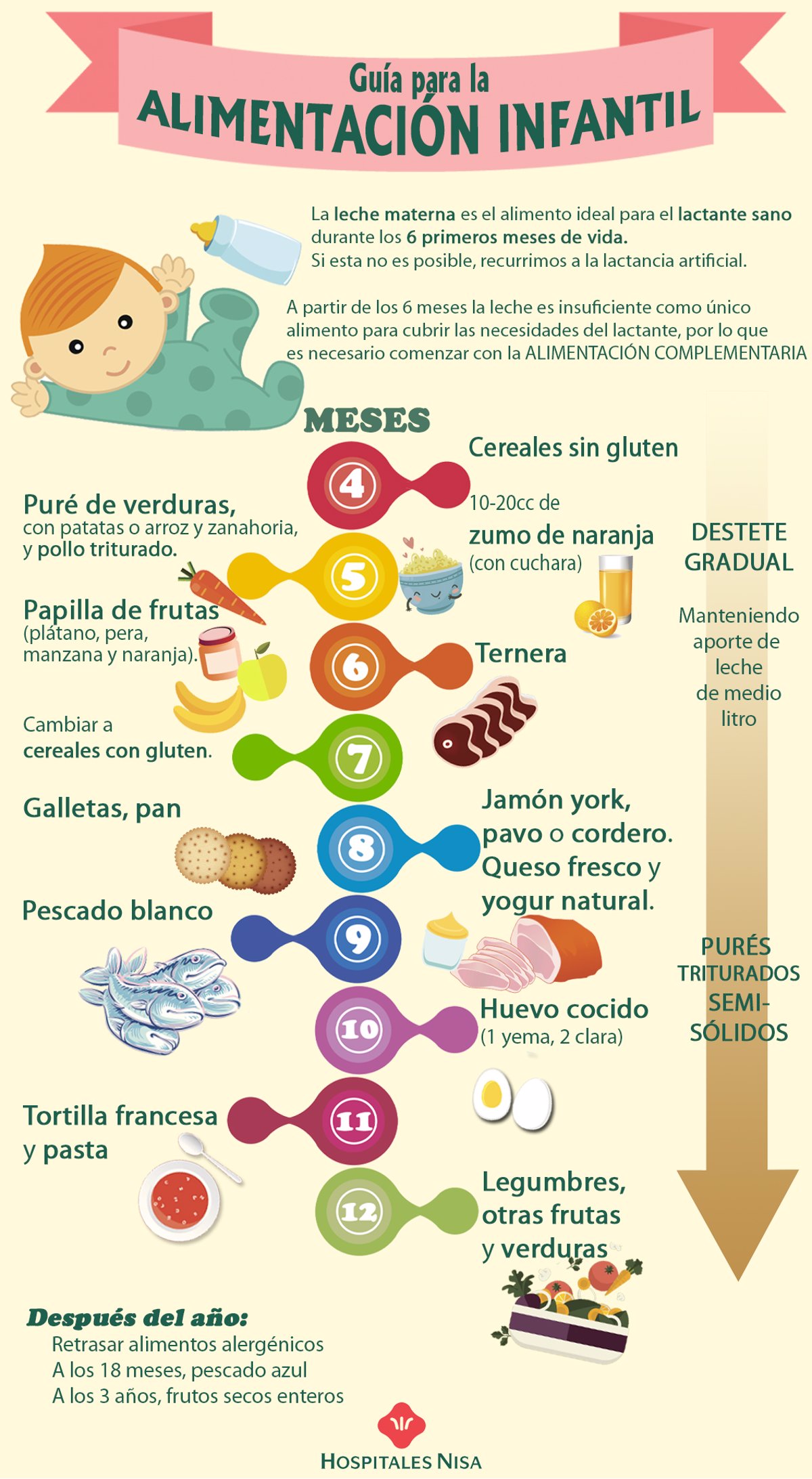 Tabla de introducción de alimentos a los 6 meses - Recetas para mi bebé