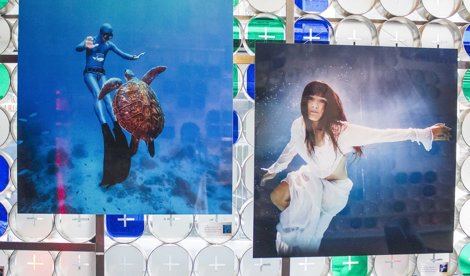 Cooperación y Desarrollo