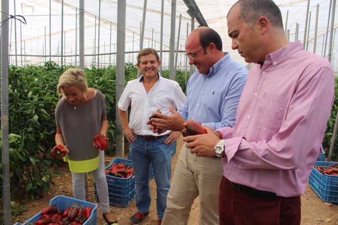 El presidente visita un invernadero de productos hortícolas en San Javier