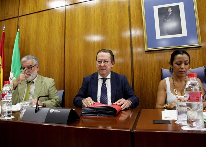Reunión de la Comisión de Justicia e Interior en el Parlamento andaluz