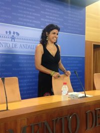 Rodríguez (Podemos) cree que el PSOE no hace una oposición "leal y propositiva" y le pide que sea responsable