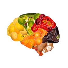 Healthy nutrition is important for brain