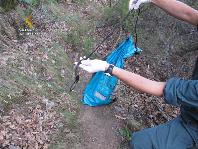 Cuerdas utilizadas para el ahorcamiento de los perros.