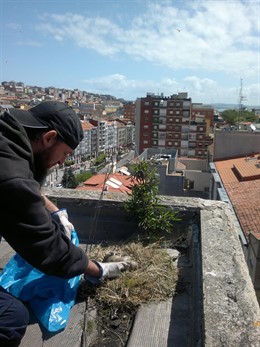 NOTAS DOMINGO, 5 DE SEPTIEMBRE