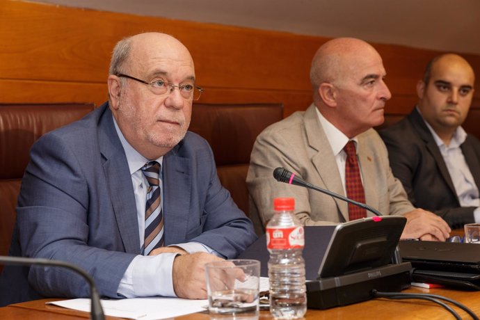 El consejero de Economía, Juan José Sota, comparece en el Parlamento