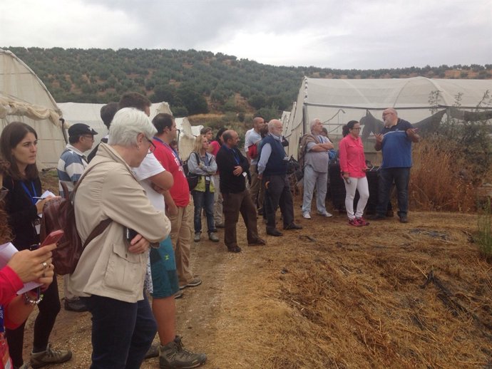 Taller 'Enseñando suelos' en el marco de la celebración de la Semana del Suelo