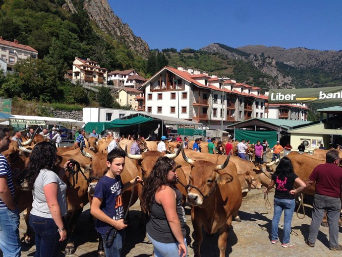 Clausura del XXIV Certamen Nacional de Rebaños de Asturiana de los Valles