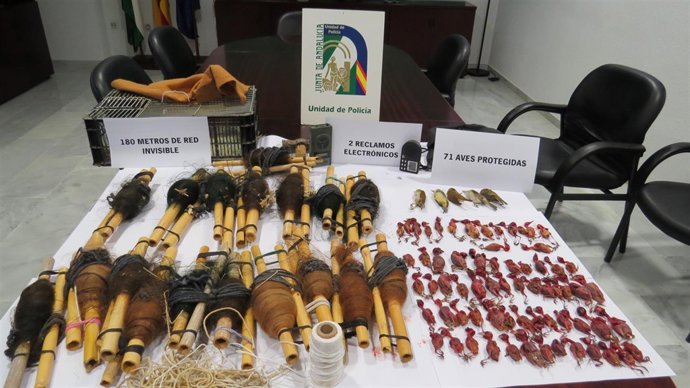 Artes de caza ilegales intervenidas y aves muertas