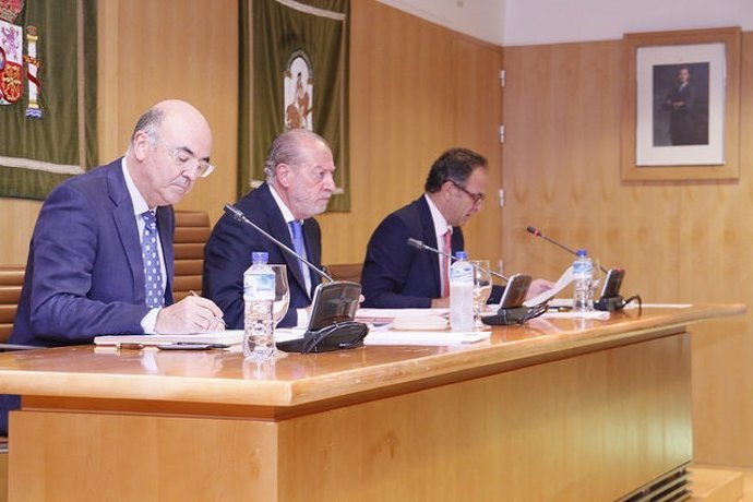 Fernando Rodríguez Villalobos en el Pleno