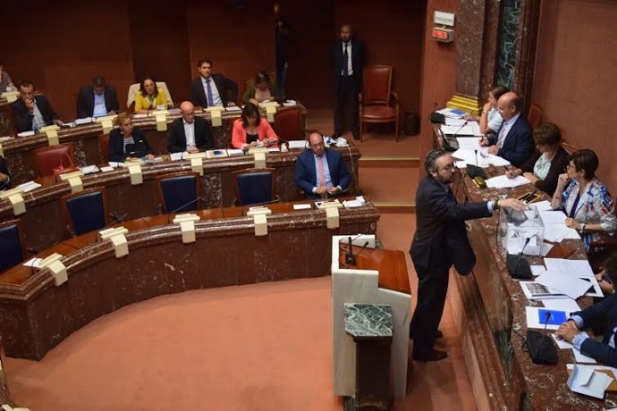 Víctor Manuel Martínez (PP) en la Asamblea