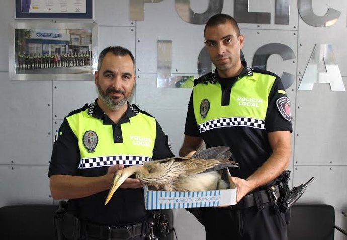 Rescatan una garza imperial 