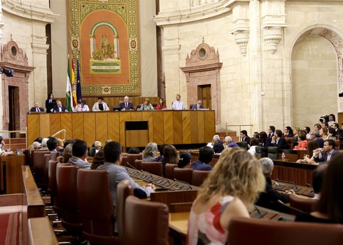 Imagen del Pleno del Parlamento.