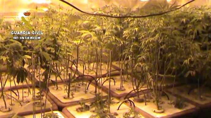 Laboratorio de marihuana