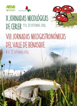 Cartel de la X Jornadas Micológicas de Otoño 2015