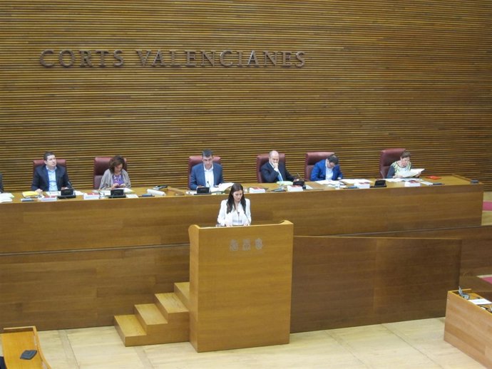 Comparecencia de Carmen Montón