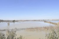 PSOE critica que el PP rechace las enmiendas socialistas propuestas para paliar las riadas