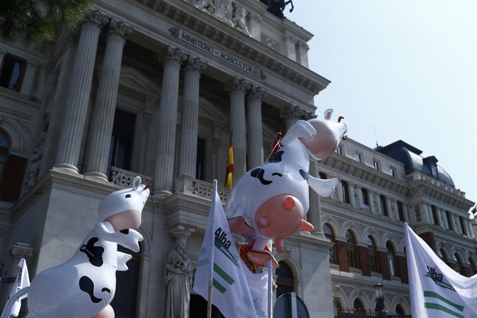 Concetración de la Marcha blanca de ganaderos por la leche