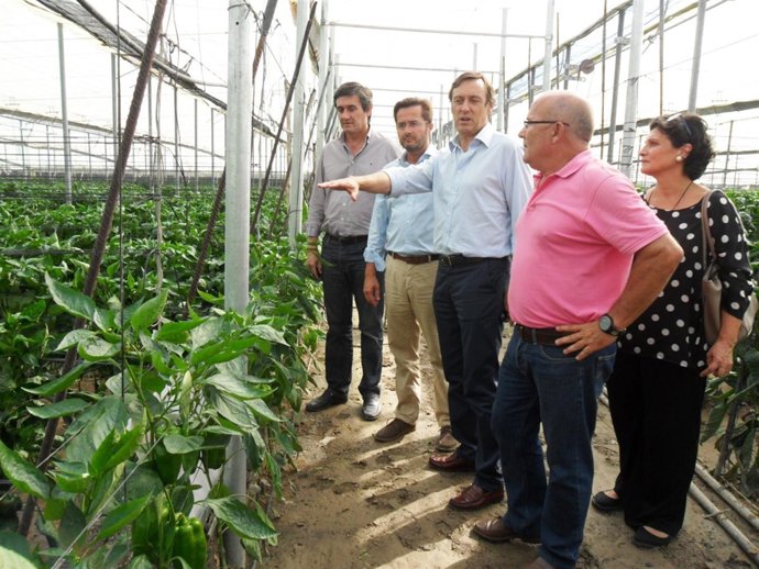 Hernando visita uno de los invernaderos anegados en Adra