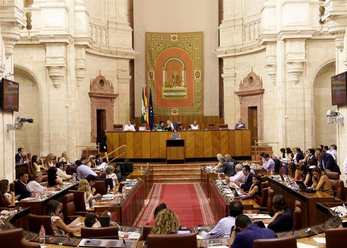 Pleno del Parlamento andaluz