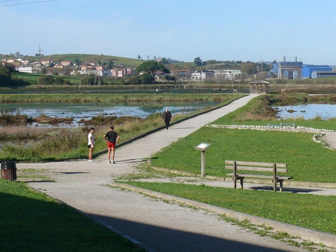 Marismas Negras de Astillero 