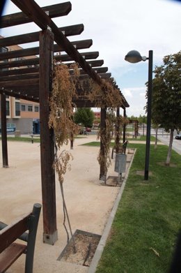 Vandalismo en Alcobendas