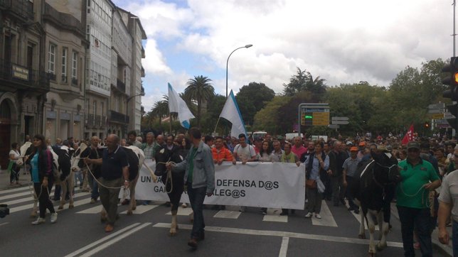 Ganaderos se manifiestan en Santiago de Compostela.