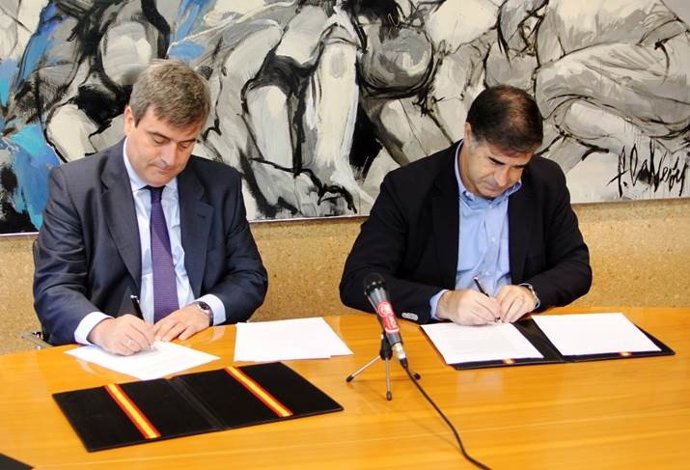 Miguel Cardenal, presidente del CSD