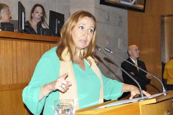 La consejera de Educación, Mayte Pérez