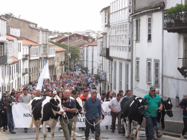 Manifestación de ganaderos en Santiago