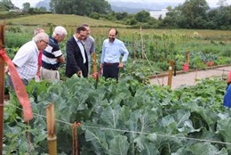 Huertos sostenibles en Torrelavega